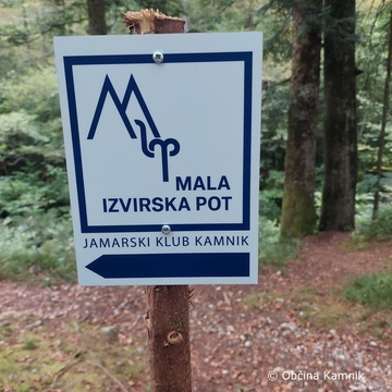 Mali izvirski krog v Kamniški Bistrici (4)